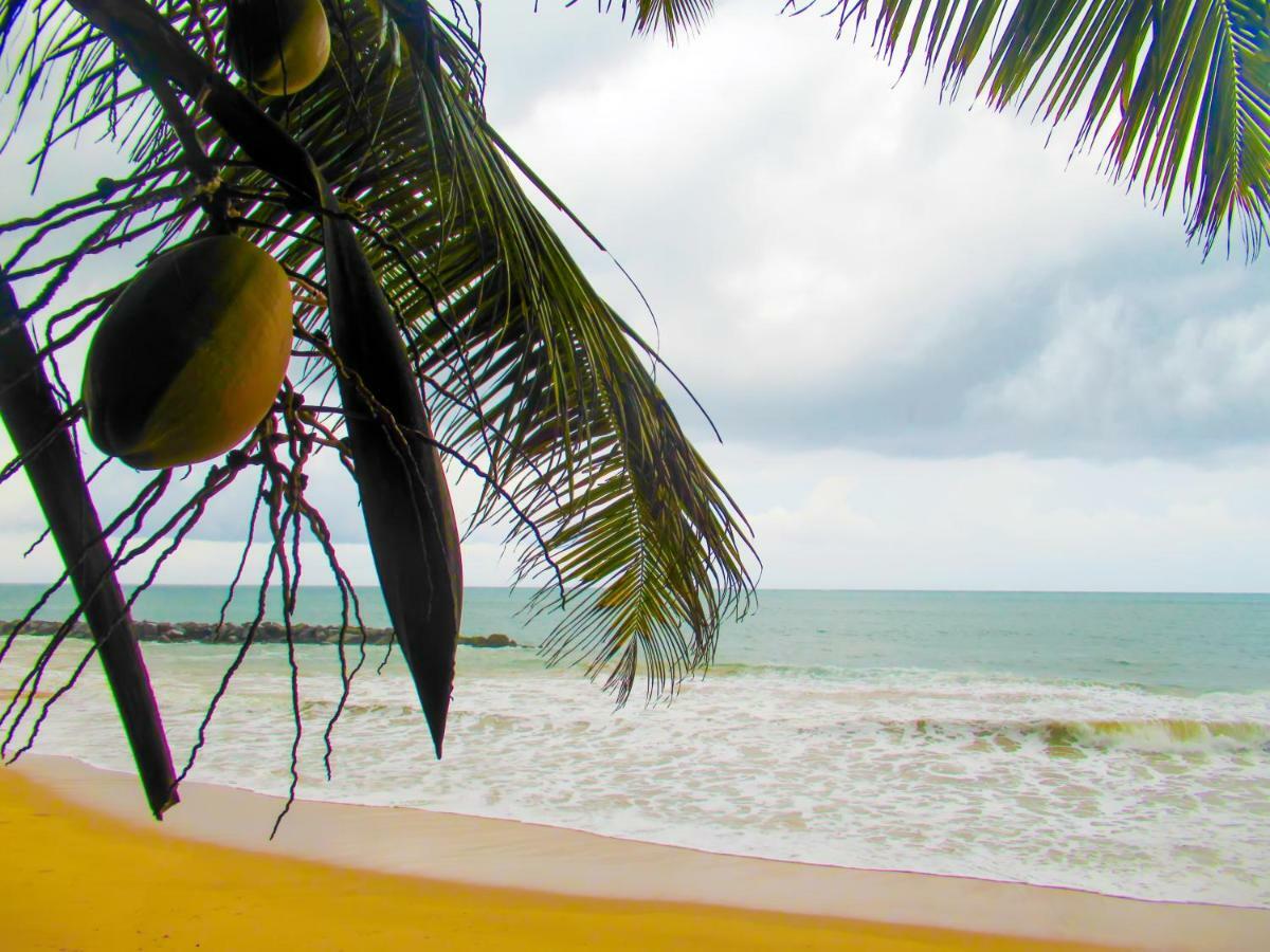 Shanika Beach Inn Tangalle Extérieur photo