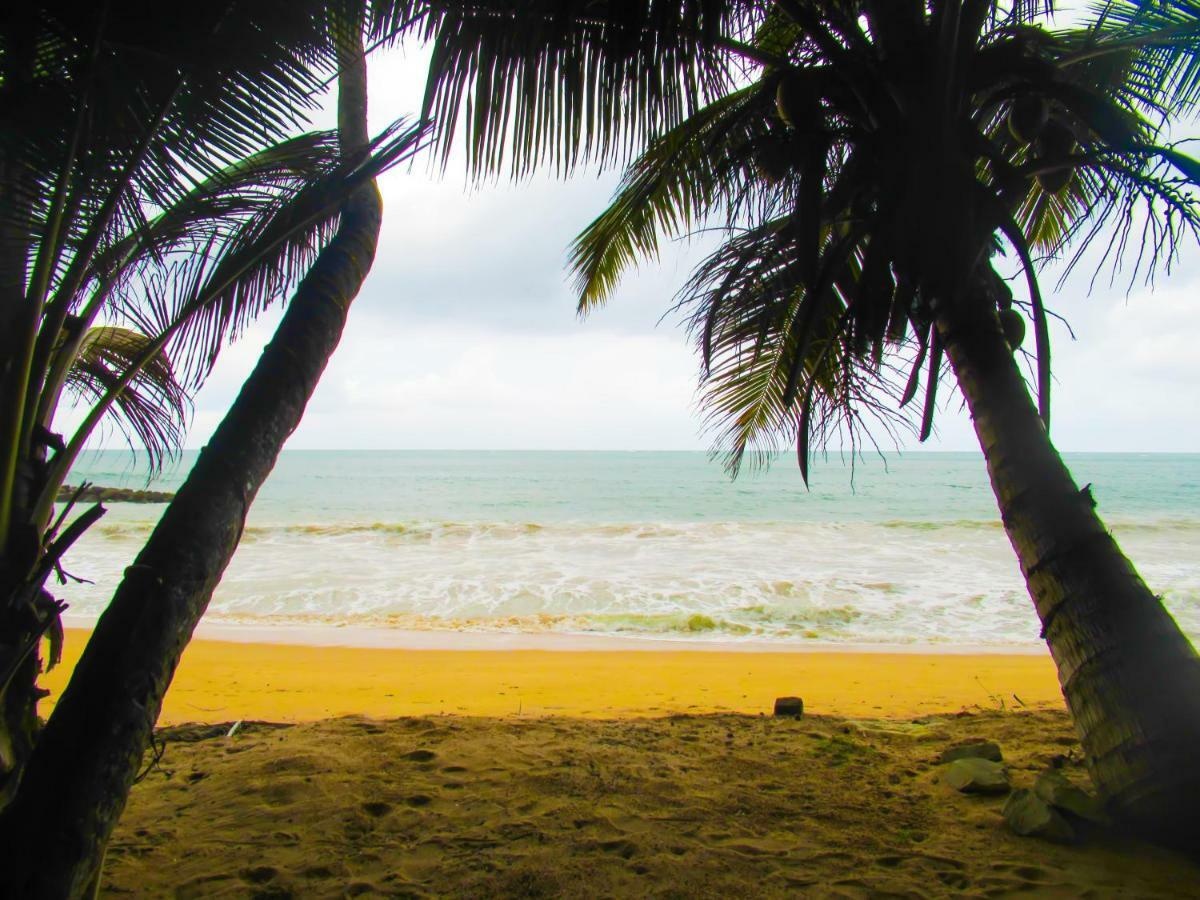 Shanika Beach Inn Tangalle Extérieur photo